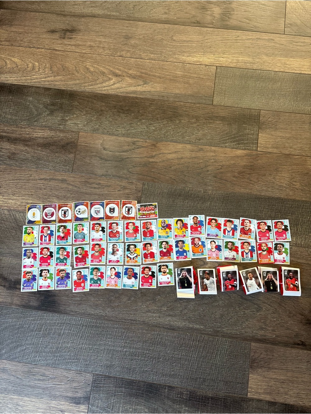 Panini FIFA World Cup Player Sticker Lot